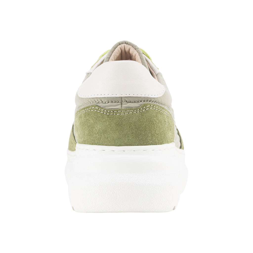 Celia