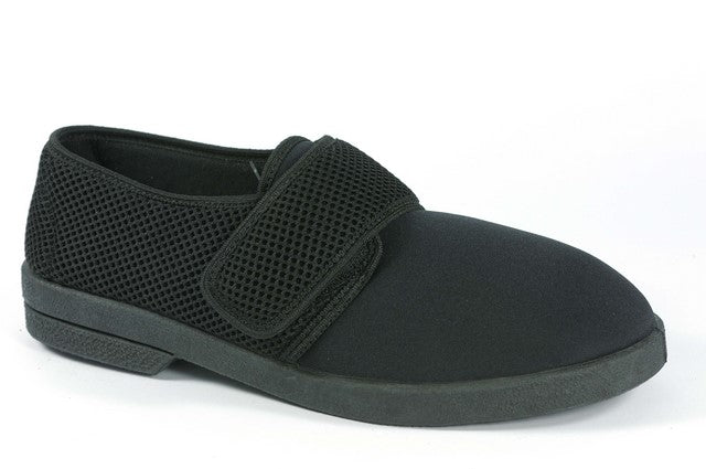 Sole